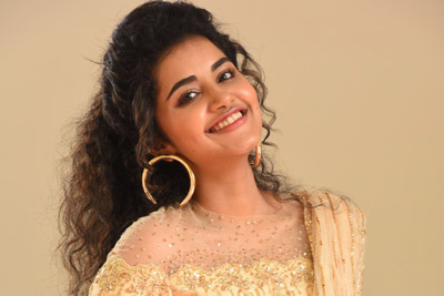 anupama-at-rakshasudu-movie-team-pressmeet