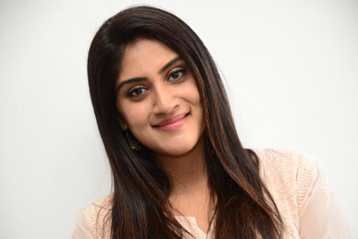 Dhanya Balakrishna at  Software Sudheer Team Pressmeet