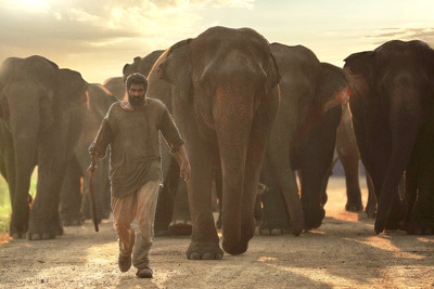 rana-stills-from-the-movie-aranya