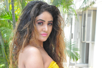 sony-charistha-press-meet-stills-for-mela