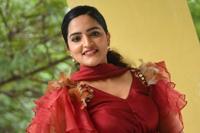 Sukrutha Wagle at Rama Chakkani Seetha Movie Team Press Meet
