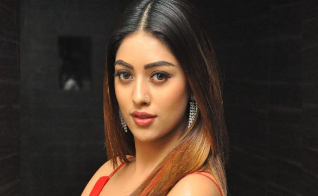 im-very-happy-with-my-career-anu-emmanuel