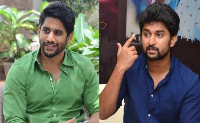 Nani and Naga Chaitanya multi starrer