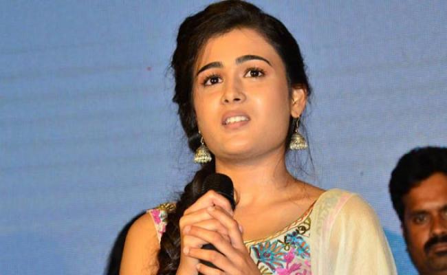offers-pour-in-for-shalini-pandey