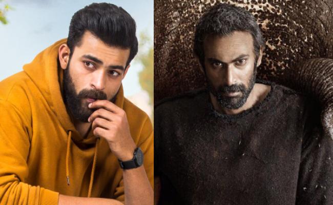 varun-tej-in-haathi-mere-saathi