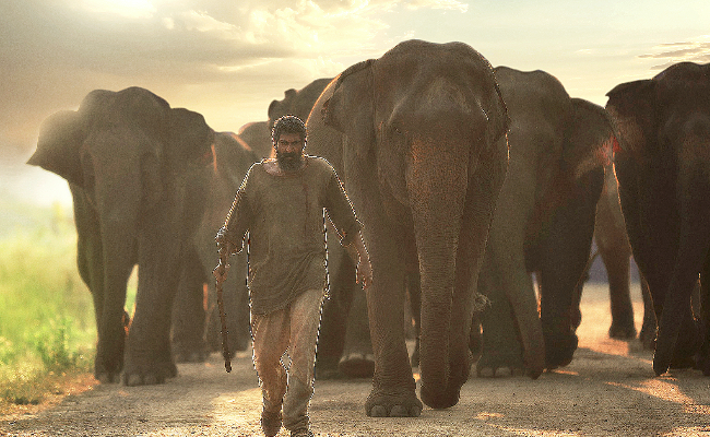 rana-daggubati-opens-up-about-physical-transfomation-in-aranya