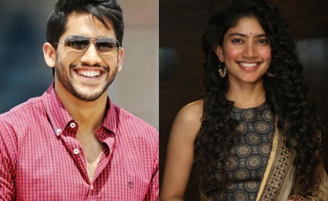 Chaitu- Sai Pallavi's Movie Launched