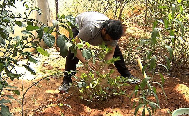 mega-harithaharam