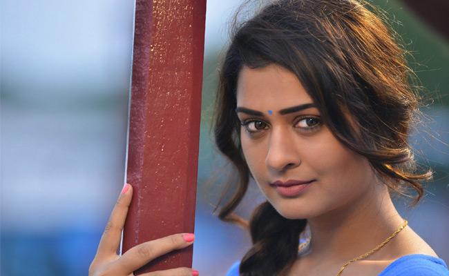 Payal Rajput Roped for Manmadhudu 2?