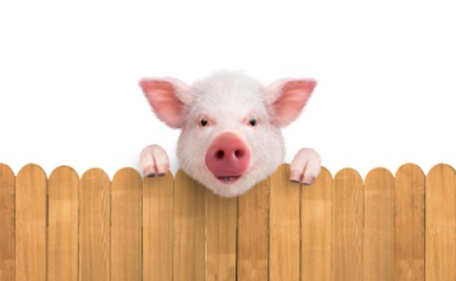 Ravi Babu’s Adhugo First look