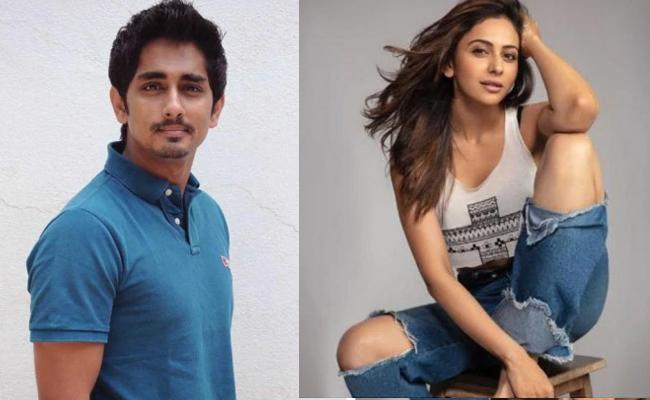 What is Siddhartha- Rakul doing