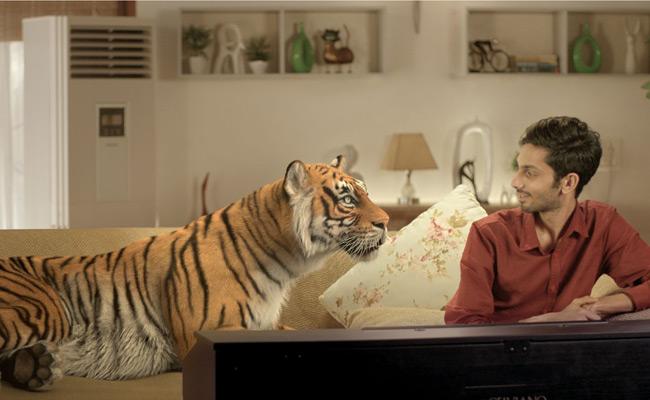 thumbaa-a-fantasy-filled-comedy-adventure